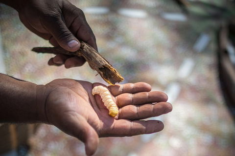 Karrke Aboriginal Cultural Experience - South Australia Travel 3