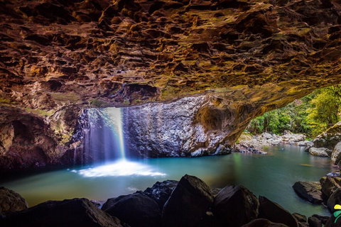 Full-day Springbrook National Park Tour From The Gold Coast - South Australia Travel 3