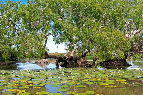 Ethical Adventures - Best In The WET - Litchfield / Kakadu 3 Day- Max 10 Guests - South Australia Travel 1