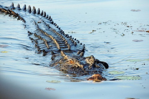 Ethical Adventures - Best In The WET - Litchfield / Kakadu 3 Day- Max 10 Guests - South Australia Travel 4