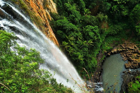 Private Tour - Rainforest & Waterfalls Extravaganza - South Australia Travel 2