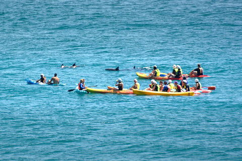 The Byron Bay Sea Kayak Tour - South Australia Travel 1
