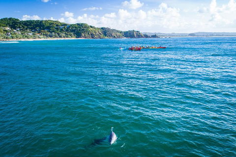 The Byron Bay Sea Kayak Tour - South Australia Travel 2