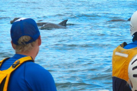 The Byron Bay Sea Kayak Tour - South Australia Travel 4