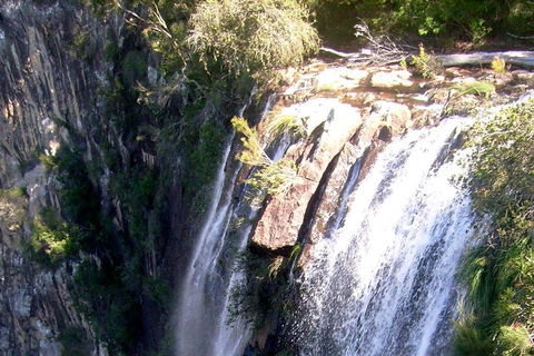 Byron Bay Combo: Hinterland Tour Including Minyon Falls And Kayaking With Dolphins - South Australia Travel 3