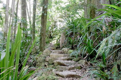 Byron Bay Combo: Hinterland Tour Including Minyon Falls And Kayaking With Dolphins - South Australia Travel 5