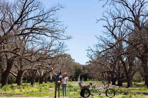 Adelaide 90-Minute Pedicab Tour: Scenic Green & River Experience - South Australia Travel 1
