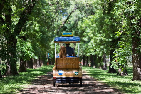 Adelaide 90-Minute Pedicab Tour: Scenic Green & River Experience - South Australia Travel 2
