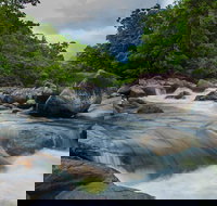 Cape Tribulation Day Tour - South Australia Travel