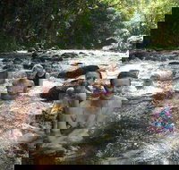 Daintree Rainforest Cape Tribulation Mossman Gorge Small-Group Day Tour - South Australia Travel