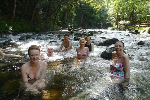 Daintree Rainforest, Cape Tribulation, Mossman Gorge Small-Group Day Tour - South Australia Travel 0