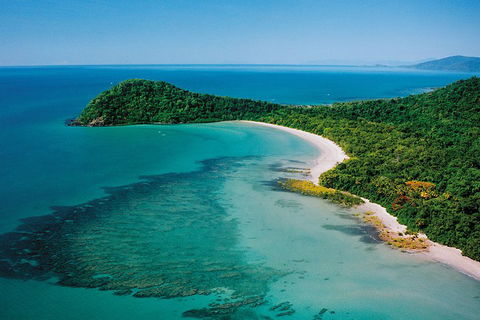 Daintree Rainforest, Cape Tribulation, Mossman Gorge Small-Group Day Tour - South Australia Travel 4