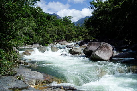 Daintree Rainforest, Cape Tribulation, Mossman Gorge Small-Group Day Tour - South Australia Travel 5