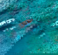 Premium Private Charter - South Australia Travel