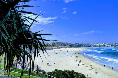 Sydney Secrets & Bondi Private 4 Hour Afternoon With 'Personalised Sydney Tours' - South Australia Travel 0