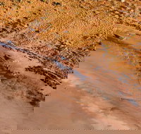 Scenic Flight Lizard Safari - South Australia Travel