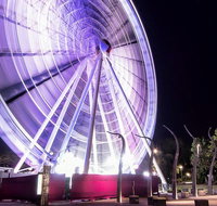Discover Brisbane - South Australia Travel