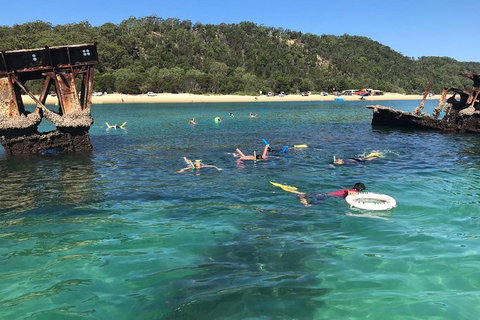 All Inclusive Dolphin And Tangalooma Wrecks Cruise - South Australia Travel 0
