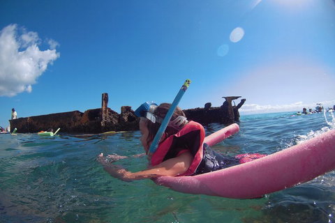 All Inclusive Dolphin And Tangalooma Wrecks Cruise - South Australia Travel 2