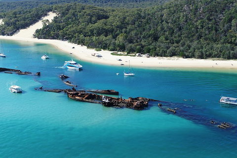 All Inclusive Dolphin And Tangalooma Wrecks Cruise - South Australia Travel 4