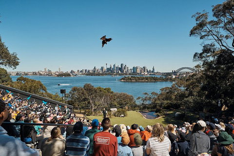 Sydney Taronga Zoo's Australian Animals Tour - South Australia Travel 5