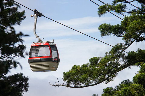 Sydney Taronga Zoo General Entry Ticket And Wild Australia Experience - South Australia Travel 2