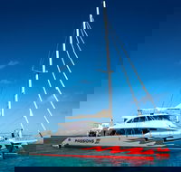 Passions of Paradise Great Barrier Reef Snorkel and Dive Cruise from Cairns by Luxury Catamaran - South Australia Travel