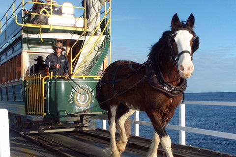 Full-Day Tour In South Australia Highlights - South Australia Travel 1