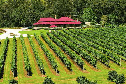 O'Reilly's & Lamington National Park From Brisbane - South Australia Travel 2