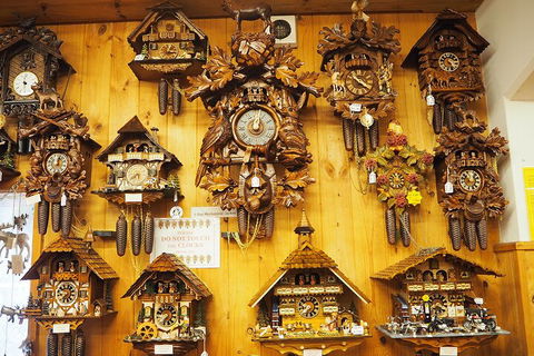 O'Reilly's & Lamington National Park From Gold Coast - South Australia Travel 5