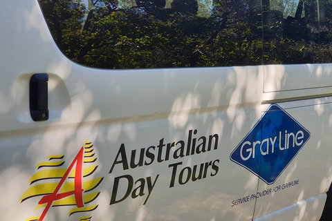 Natural Bridge Glow Worm Night Tour From Gold Coast - South Australia Travel 5