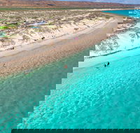 Ningaloo in a Day - Full Day Hike and Snorkel Tour with Lunch - South Australia Travel