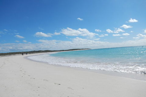 Shipwreck Special Nature Tour/Half Day Tour - South Australia Travel 0