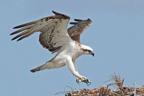 Shipwreck Special Nature Tour/Half Day Tour - South Australia Travel 4