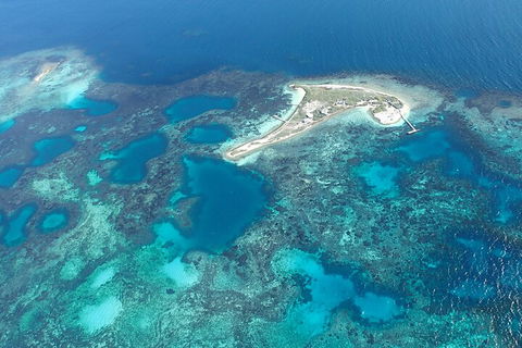 Shipwreck Special Nature Tour/Half Day Tour - South Australia Travel 5