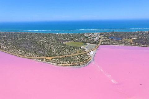 Pink Lake + Abrolhos Islands Nature Tour - South Australia Travel 4