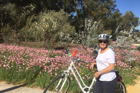 Perth Bike Tour - Beautiful Matilda Bay And Kings Park - South Australia Travel 1