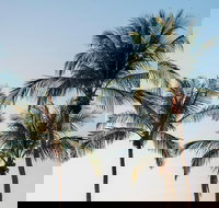 Darwin City Sightseeing Tour - South Australia Travel