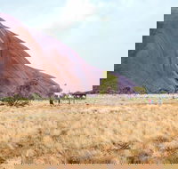 Uluru Sunrise and Guided Base Walk - South Australia Travel