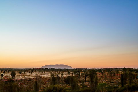 Uluru (Ayers Rock) Field Of Light Sunrise Tour - South Australia Travel 0