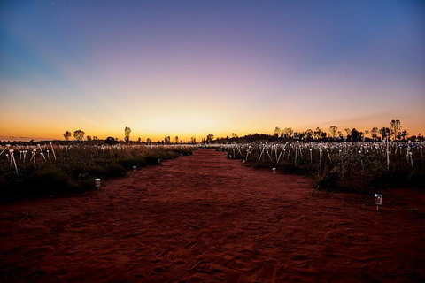 Uluru (Ayers Rock) Field Of Light Sunrise Tour - South Australia Travel 3