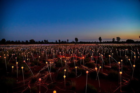 Uluru (Ayers Rock) Field Of Light Sunrise Tour - South Australia Travel 4
