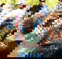 Tiwi Islands Cultural Experience from Darwin Including Ferry - South Australia Travel