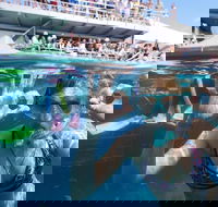 Great Barrier Reef Day Cruise from Cairns Including Snorkeling and Marine Biologist Presentation - South Australia Travel
