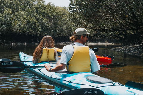 Kayak Tour In Adelaide Dolphin Sanctuary - South Australia Travel 2