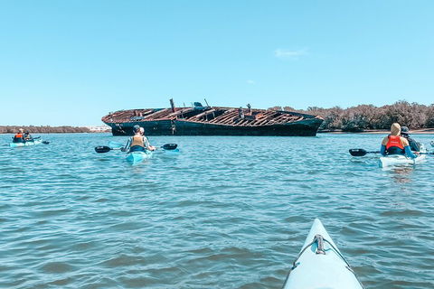 Kayak Tour In Adelaide Dolphin Sanctuary - South Australia Travel 3