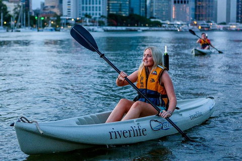 Brisbane Kayak Tour - South Australia Travel 2