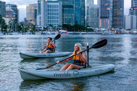 Brisbane Kayak Tour - South Australia Travel 3