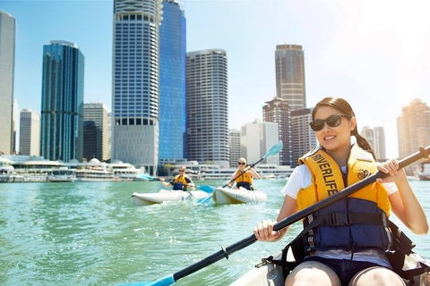Brisbane Kayak Tour - South Australia Travel 5