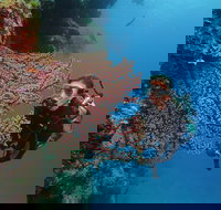 Silversonic Outer Great Barrier Reef Dive and Snorkel Cruise from Port Douglas - South Australia Travel